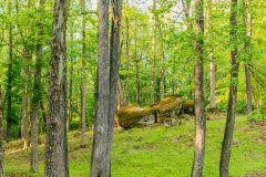 2021-05-01JameysCreekFarm-MikeChumney-WoodruffSC-JackRobertPhotography-164