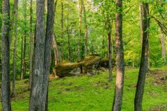 2021-05-01JameysCreekFarm-MikeChumney-WoodruffSC-JackRobertPhotography-165