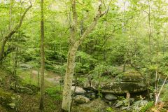 2021-05-01JameysCreekFarm-MikeChumney-WoodruffSC-JackRobertPhotography-175