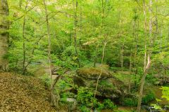 2021-05-01JameysCreekFarm-MikeChumney-WoodruffSC-JackRobertPhotography-176