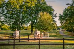 2021-05-01JameysCreekFarm-MikeChumney-WoodruffSC-JackRobertPhotography-204