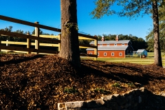 Jameys Creek Farm-72